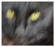 827943231
