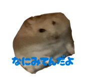 827956082