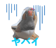 827957279