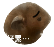 827958860