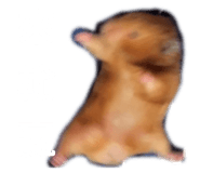 827958863