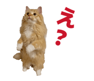 827962763