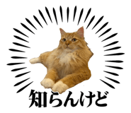 827962788