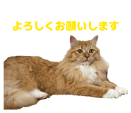827962800