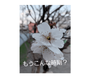 827964474
