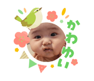 827964529