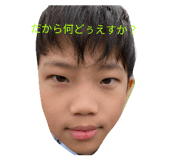827966608
