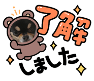 827972579