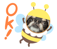 827972580