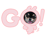 827972583