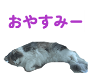 827990914