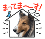 828002775