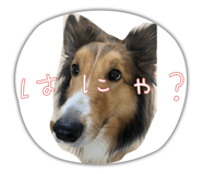 828002779