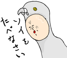 8280256