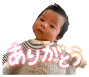 828037231