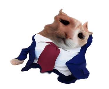 ลายที่ 13