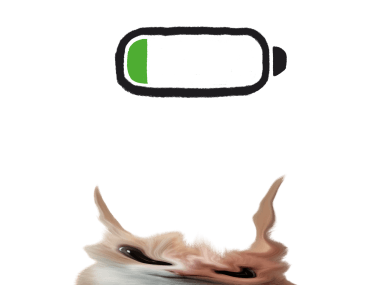 ลายที่ 17