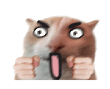 ลายที่ 19