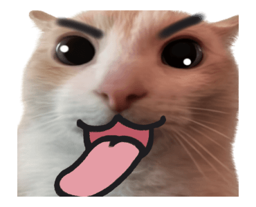 ลายที่ 21