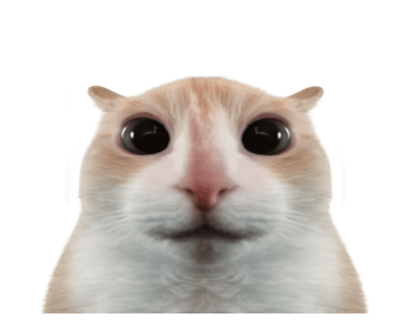 ลายที่ 31