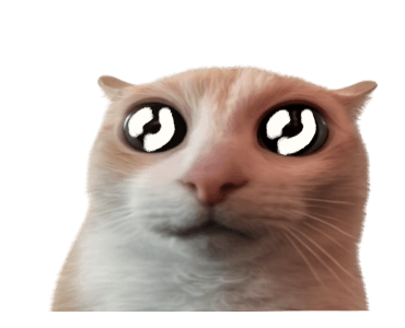 ลายที่ 43