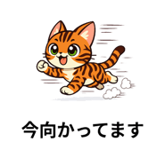 828054636