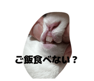 828059595