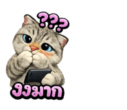 828061132