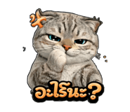 828061134