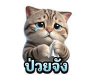 828061135