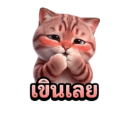 828061136