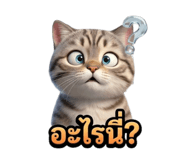 828061138