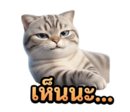 828061140