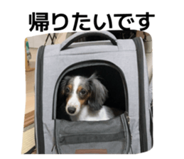 828063417