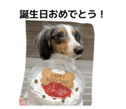 828063418