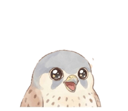 828089892
