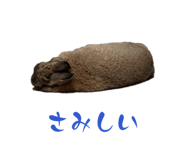 828104584