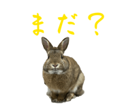 828104585