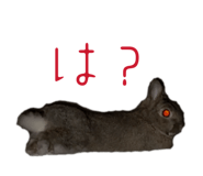 828104586