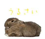 828104589