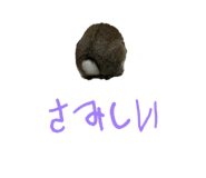 828104591