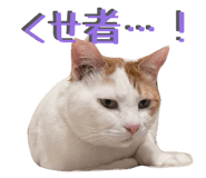 828119044