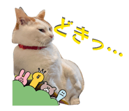 828119045