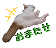 828119046