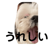 828147980