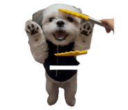 828147989