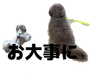 828147991