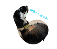 828155836