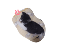 828155837