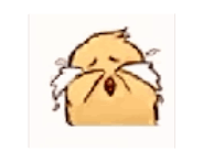 828158240